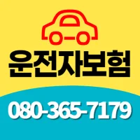 현대해상 운전자보험