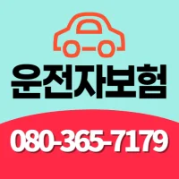 운전자보험 db kb 현대해상 메리츠화재 가격비교