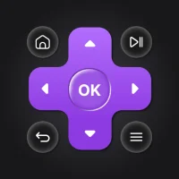 Universal TV Remote Control