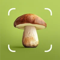 Mushroom ID - Fungi Identifier