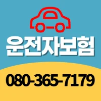 삼성화재 운전자보험