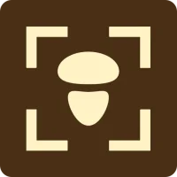 Fungus - Identification of fun