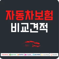 자동차보험료비교견적앱 자동차보험비교 자동차보험료비교