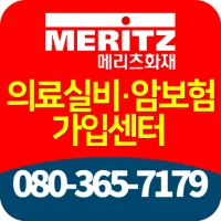 메리츠화재실비보험
