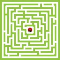 Maze King
