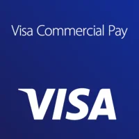 Visa Commercial Pay