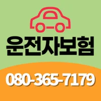 메리츠 운전자보험