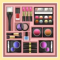 Beauty Organizer Game