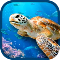 Virtual Reality OCEANS!