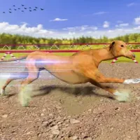 Greyhound Dog Racing Derby