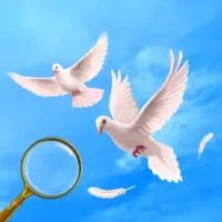 Wedding Hidden Objects