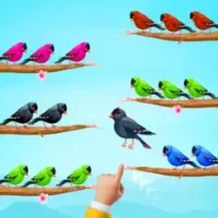 Bird Sort Color Puzzle Games