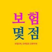 보험 몇점 - 내보험조회 내보험찾기