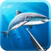 Hunter underwater spearfishing