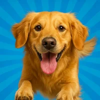 Pocket Paws: My lovely dogs