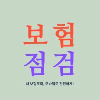 보험 점검 - 내보험조회 내보험찾기