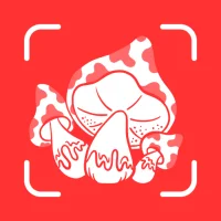 Picture Mushroom Identifier+AI