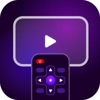 Universal TV Remote Control