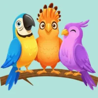 Sort Birds