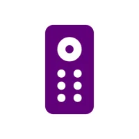 Roku Express Remote