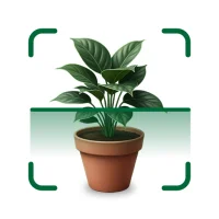 Plant Care: Identify Plants