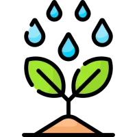 Plant Care: Watering