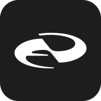 FODI - Formation Director