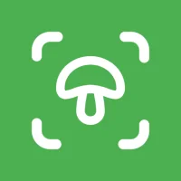 Mushroom Identifier - Mushby