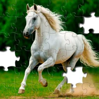 Jigsaw Puzzles - Jigsawgram