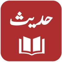 HadithOne - Hadith Collection