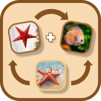 Connection - Think & Link