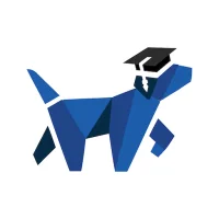 Dog Academy - Dog Training