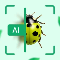 Bug Lens: AI Insect Identifier