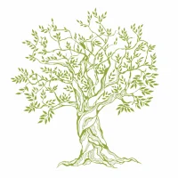 Tree Trails and Tales