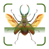 Bug Identifier - Insect Finder