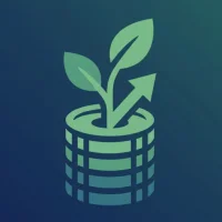 DebtWise - Debt Order Payment