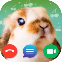 Fake Call: Bunny