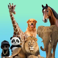 Animal Sounds Fun