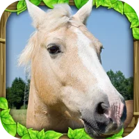 Wild Horse Simulator