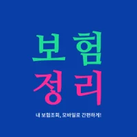 보험 정리 - 내보험조회 내보험찾기