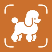 Dog Breed Identifier - Dogium