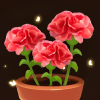 Flower Match