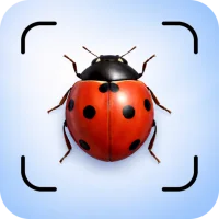Insect Identifier App